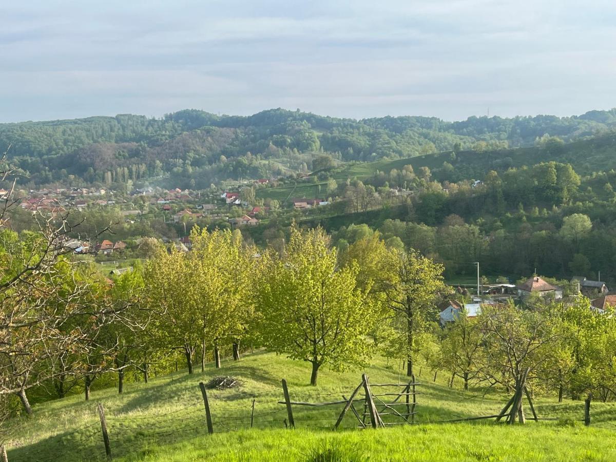 Pensiunea Eden *