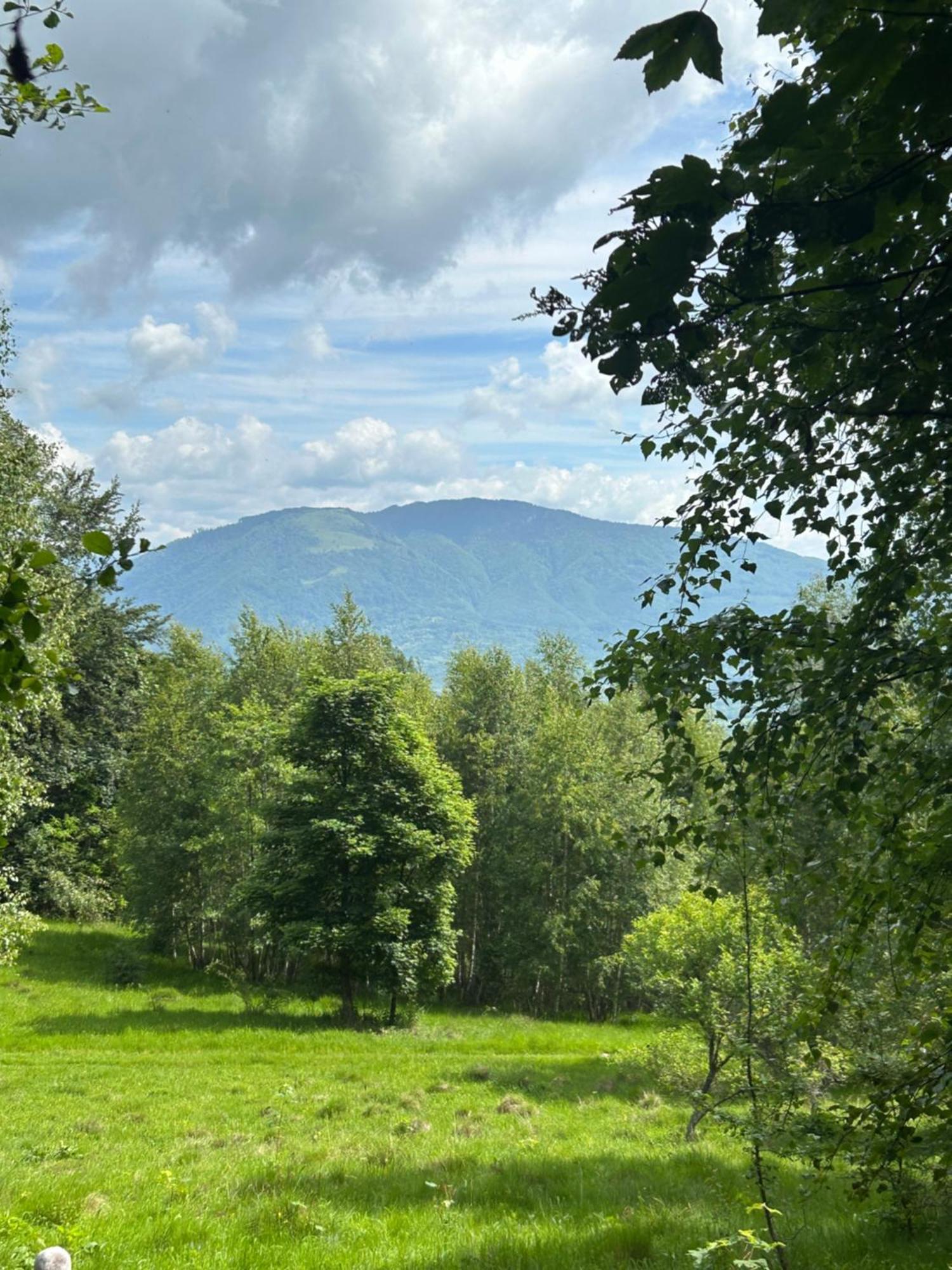 Pensiunea Eden Barasti