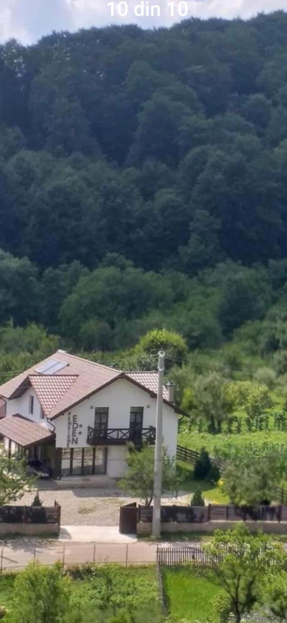 Pensiunea Eden *
