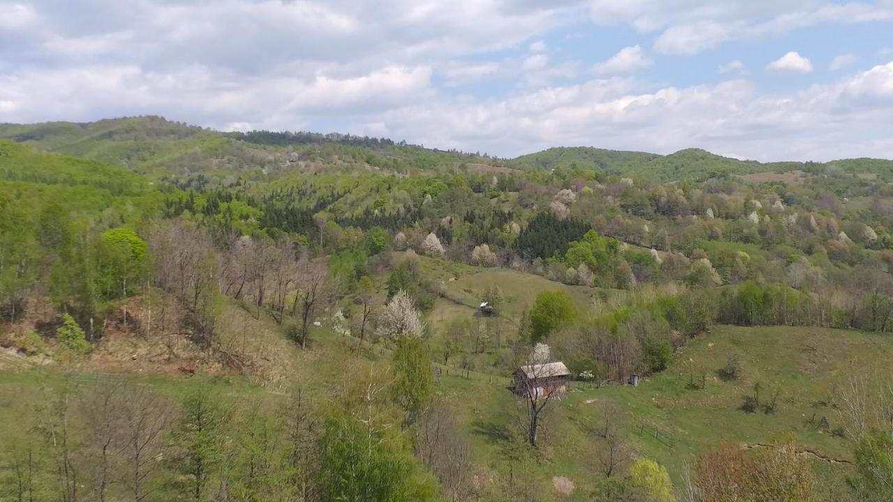 Séjour à la ferme Pensiunea Eden Barasti
